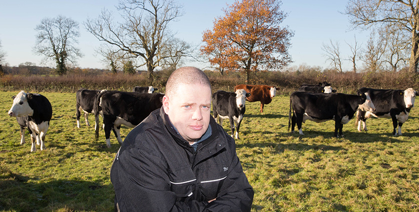 a person standing in front of a herd of cows